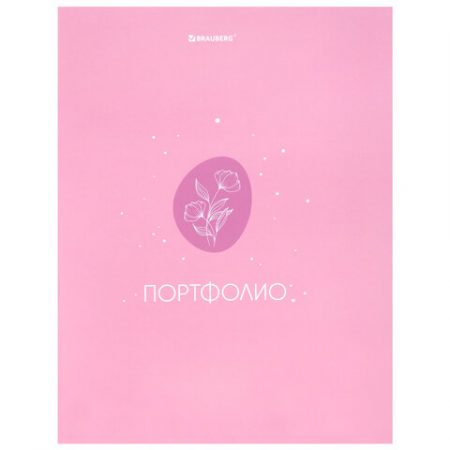 Папка-портфолио универсальная, 4 кольца, 20 файлов, 7БЦ матовая, BRAUBERG, "Gentle", 117558